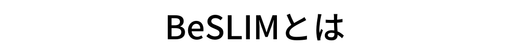 BeSLIMとは
